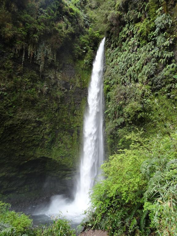 Apart & Tour Puerto Varas Luaran gambar