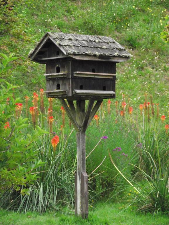 Apart & Tour Puerto Varas Luaran gambar